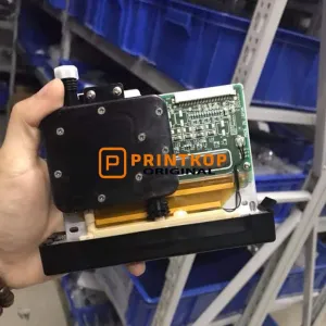 Seiko Printhead