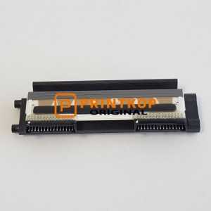 Zebra LP2824 / LP282Z / TLP2824 Plus Printhead G105910-102 203dpi OEM Replacement