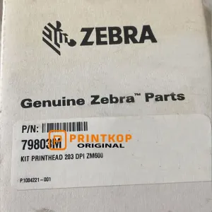 Avery 64-04 / TTX674 / DPM / PEM / ALX924 (left hand) 4" Printhead - A0978