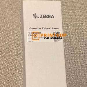 Zebra160S 172PAX 170XiIIIPlus 170PAX4 Printhead - G38000M