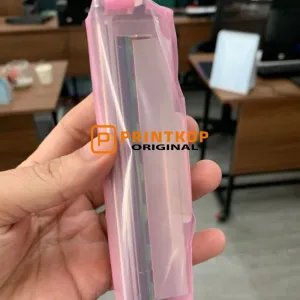 TSC